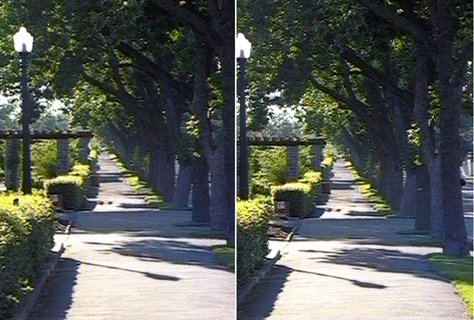 3D_jardin_botanique_chemin_50.jpg (48857 octets)