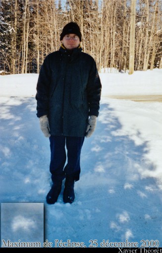 Pleins de petits croissants!