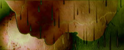 DOUBLE_IDENTITE.JPG (50645 octets)